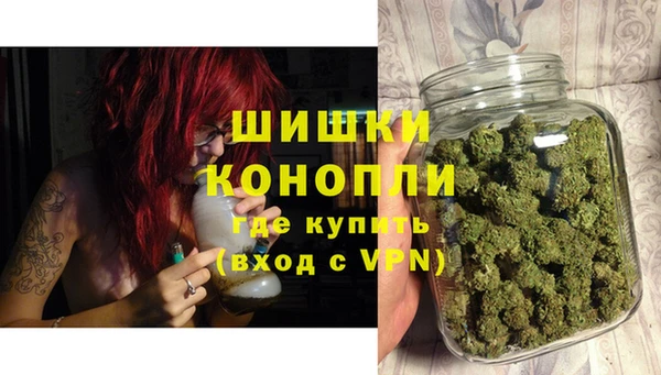 дживик Нягань