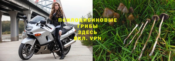 дживик Нягань